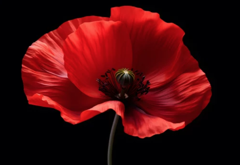 Pippa Ettore tweet media