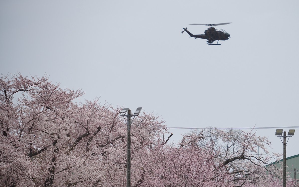 かりぶち ひかり tweet media