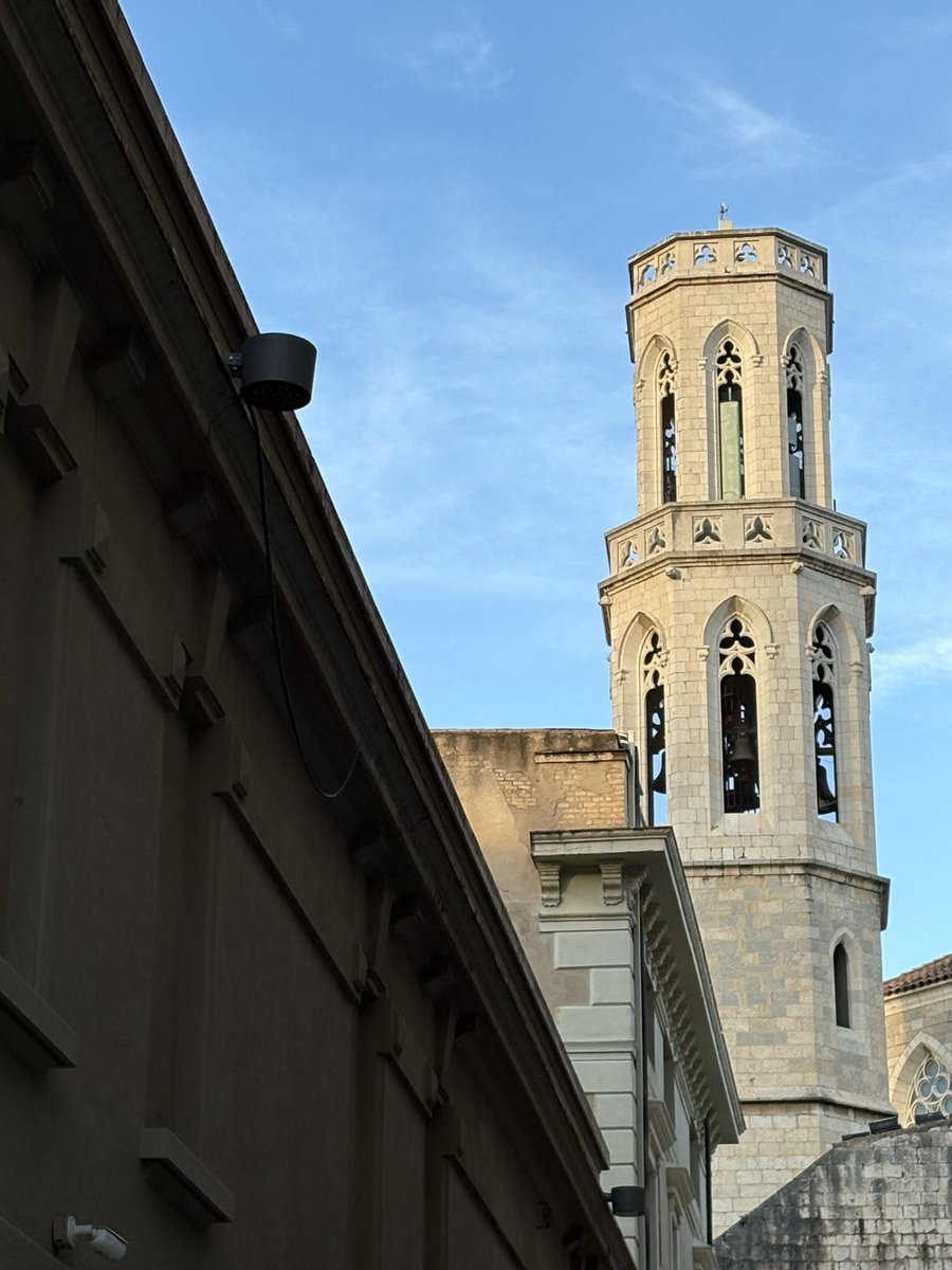 Mariàngela Vilallonga tweet media