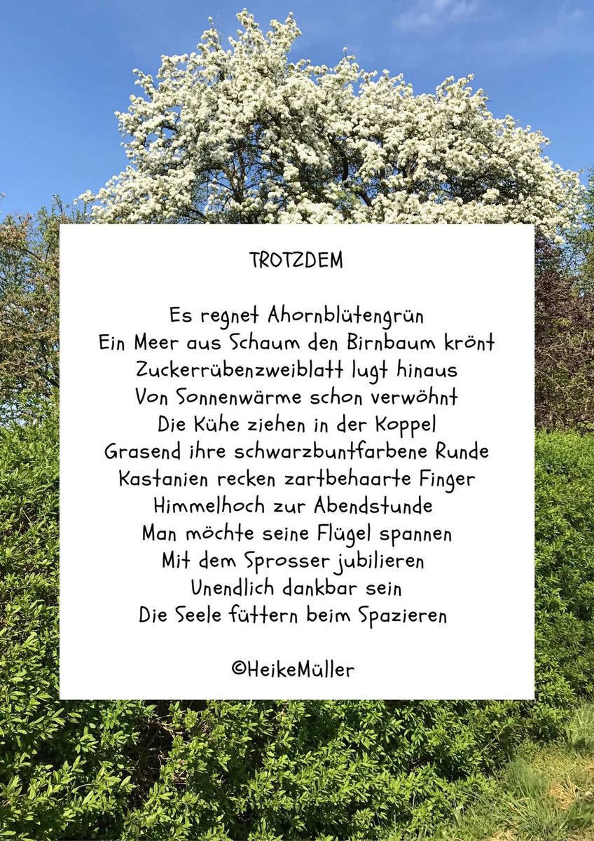 Heike Müller 🐄 🐕‍🦺🐈📚🌻 tweet media