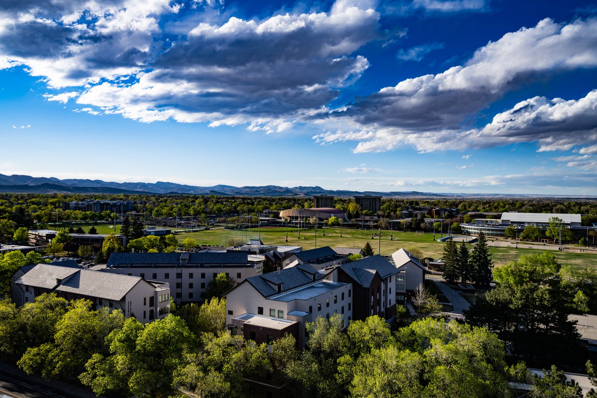 Colorado State Rams 🐏 tweet media