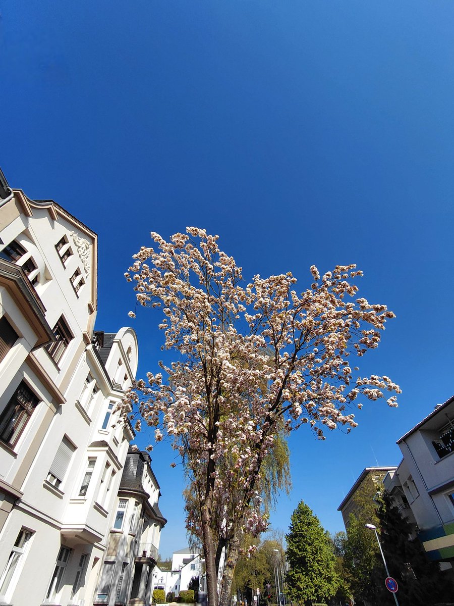 UMZiegeroski's tweet image. Guten Morgen! Schönen #Samstag! Good morning! Beautiful #Saturday! 🌤🫂💐🫶☕️🥨🫖🍵📚✍️🎶🎧🪴🍎🍊🍋🥝🥗🥛📱 Passt gut auf Euch auf; Gott segne und beschütze euch! Take care of yourselves; God bless and protect you! 🕊🙏 #truelove #health #literature #music #nature