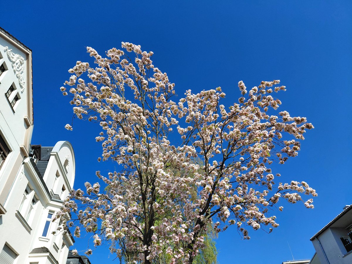 UMZiegeroski's tweet image. Guten Morgen! Schönen #Samstag! Good morning! Beautiful #Saturday! 🌤🫂💐🫶☕️🥨🫖🍵📚✍️🎶🎧🪴🍎🍊🍋🥝🥗🥛📱 Passt gut auf Euch auf; Gott segne und beschütze euch! Take care of yourselves; God bless and protect you! 🕊🙏 #truelove #health #literature #music #nature