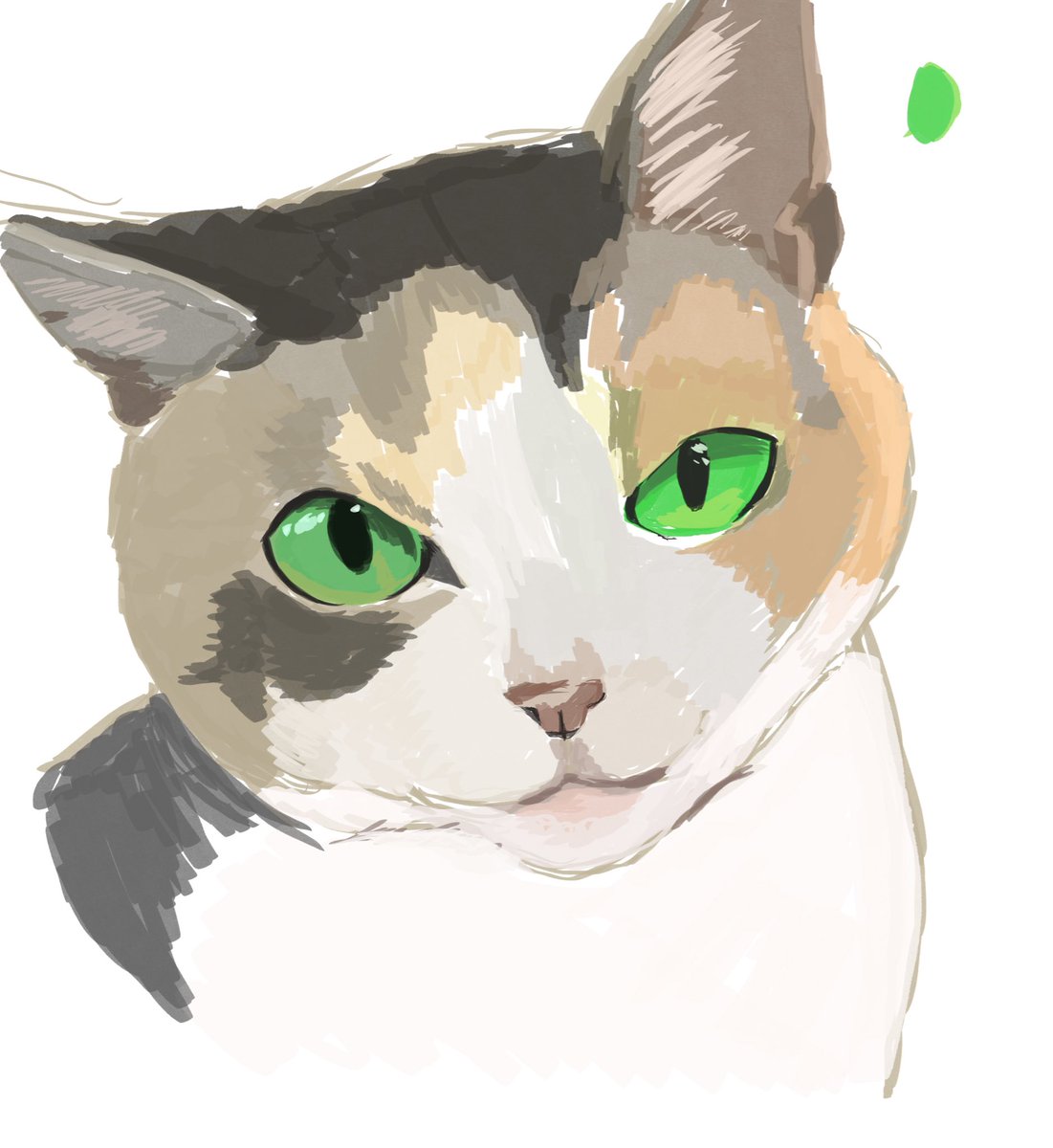 きいつ tweet media