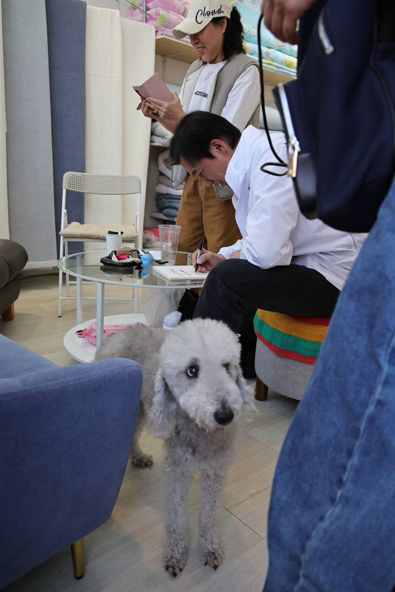 조국혁신당 주권당원 tweet media