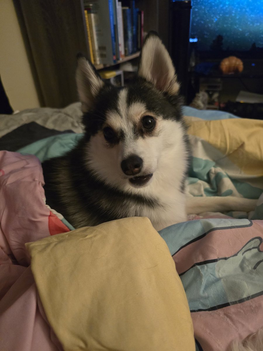 𝐒𝐞𝐧𝐬𝐞𝐢. | S/H @ COLLEGE tweet media