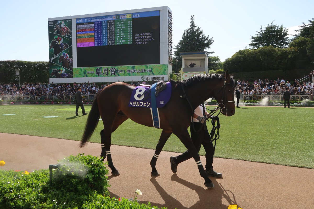 でぃしくん tweet media