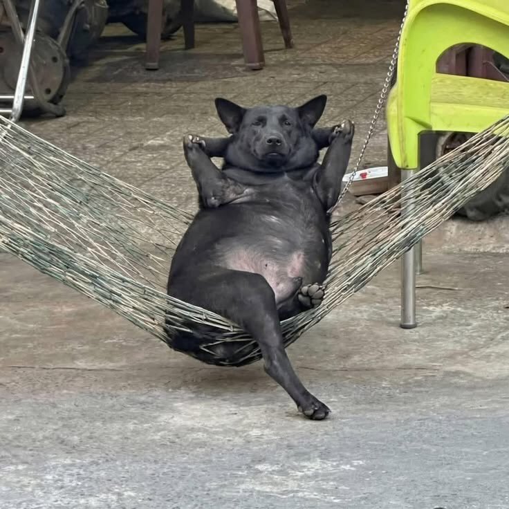 บลูอีสสส ( เสี่ยแดงคอกม้า ) 🫐💚🩷 tweet media