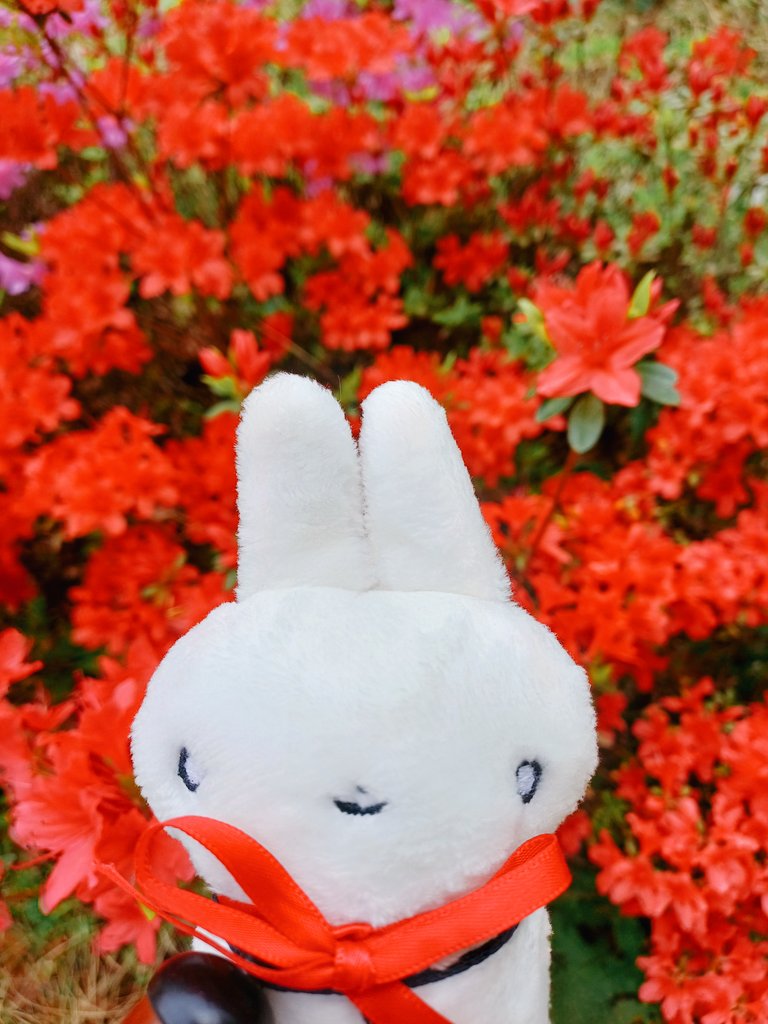도토래 공방 tweet media