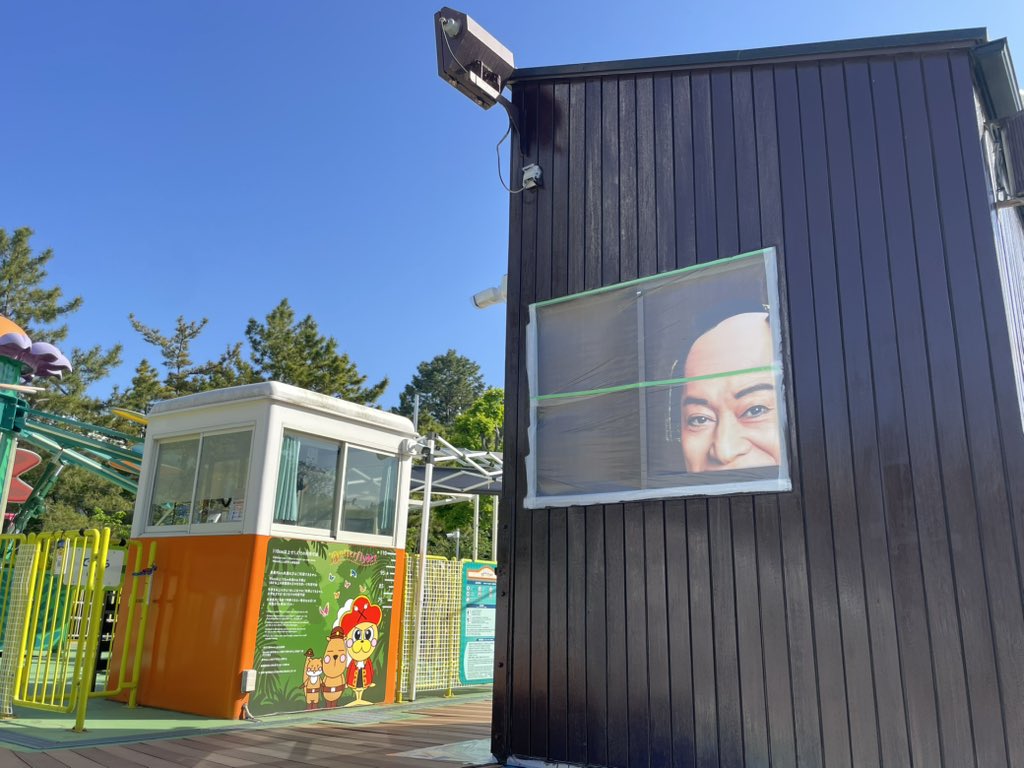 北瀬みくじ🐳⛩鯨類学VTuber tweet media