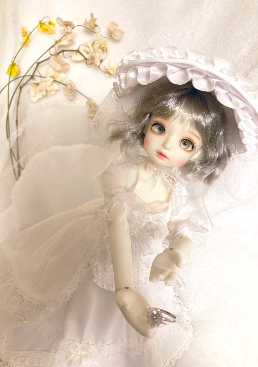 Fe_ni_1215's tweet image. #うちのこかわいい 
#LUTS