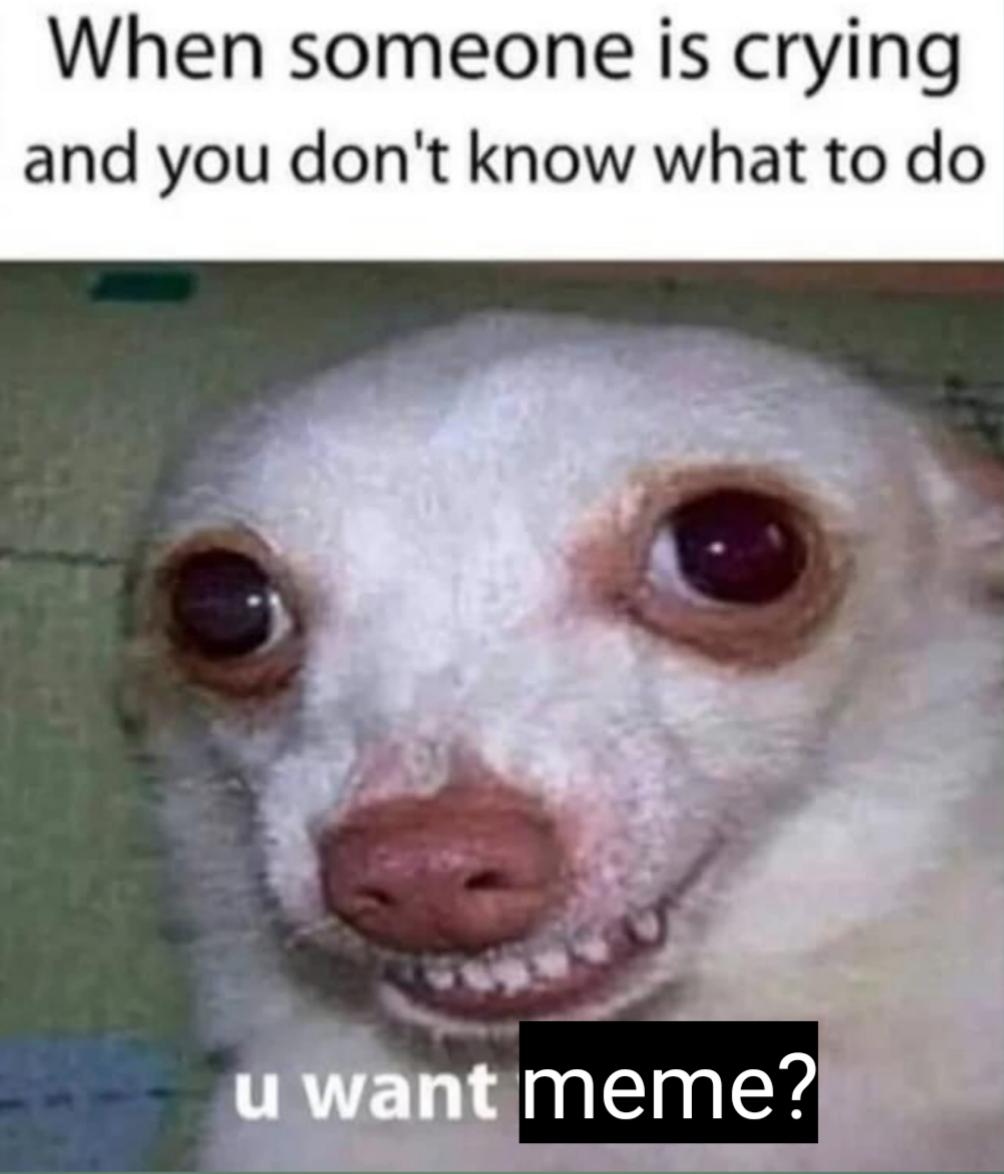 MAJESTIC tweet media