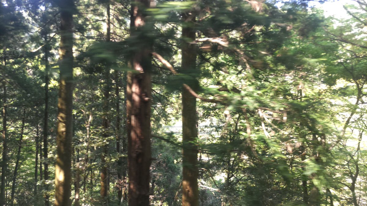 マリリン tweet media