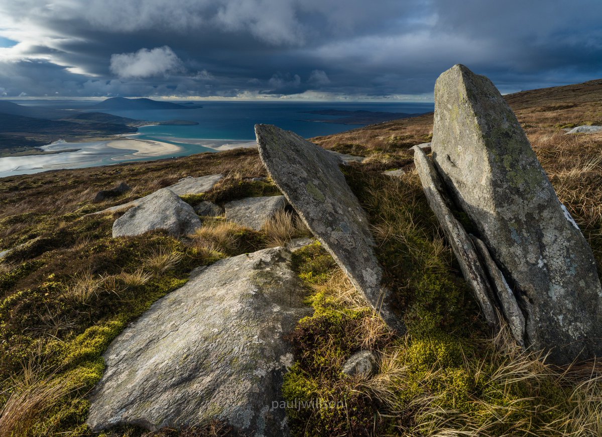 Paul Willson tweet media