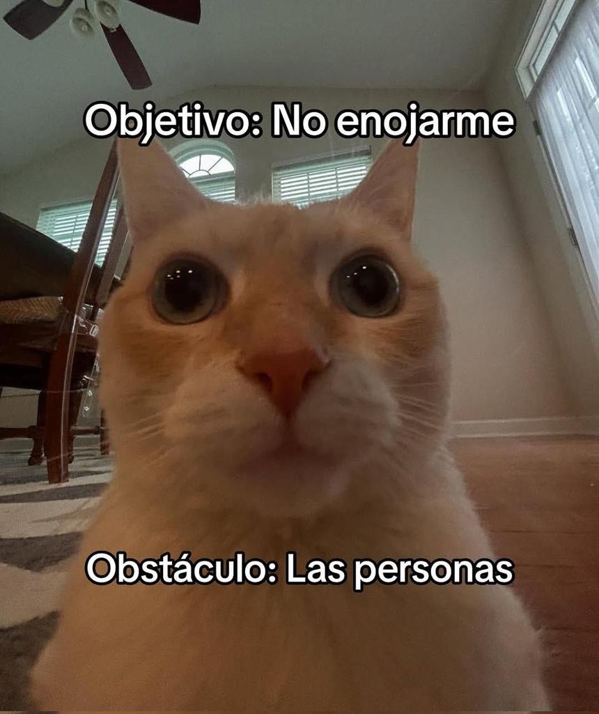 Animalitos en aprietos. tweet media