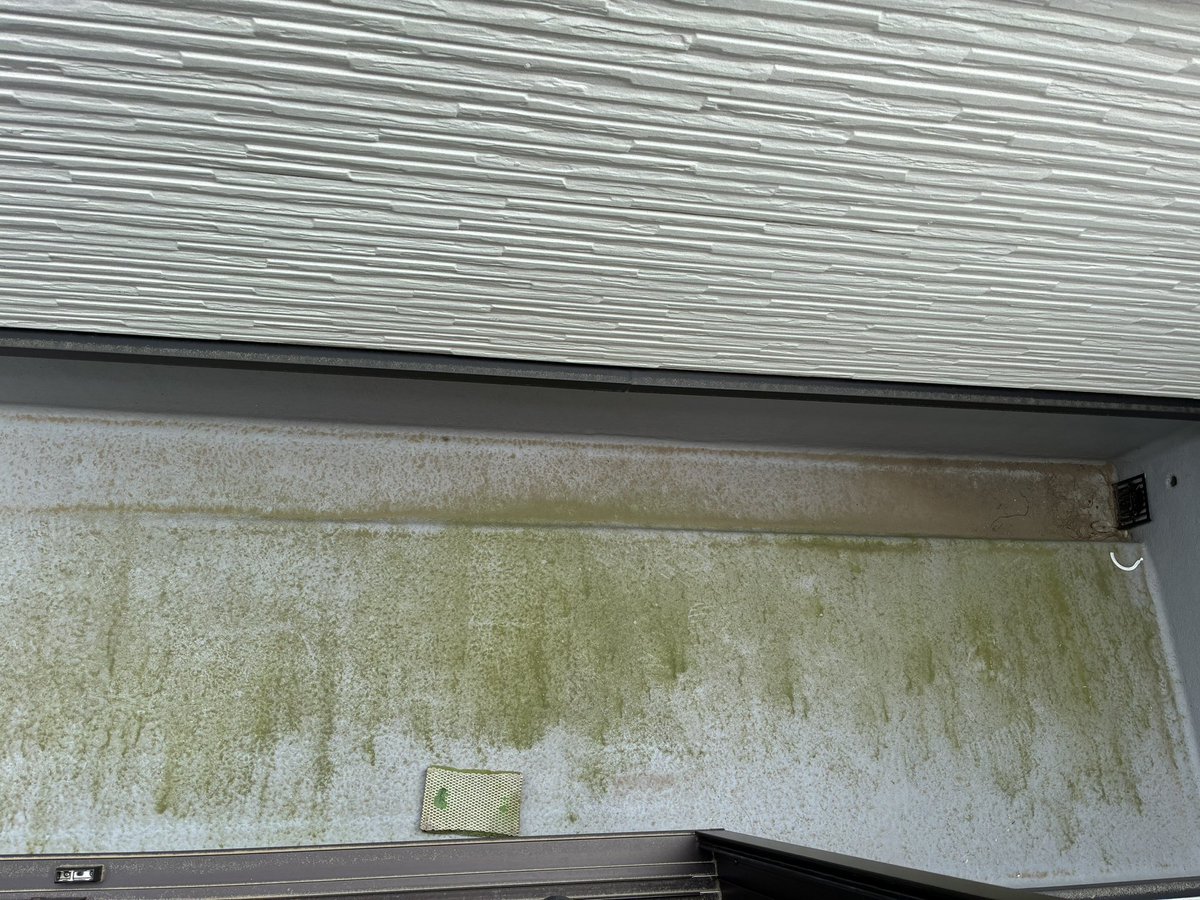 ベー♨️ tweet media