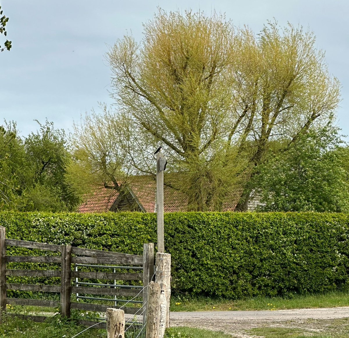 Helen Ibbott 💙📸📖 tweet media