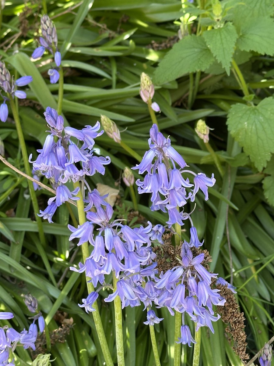 Helen Ibbott 💙📸📖 tweet media