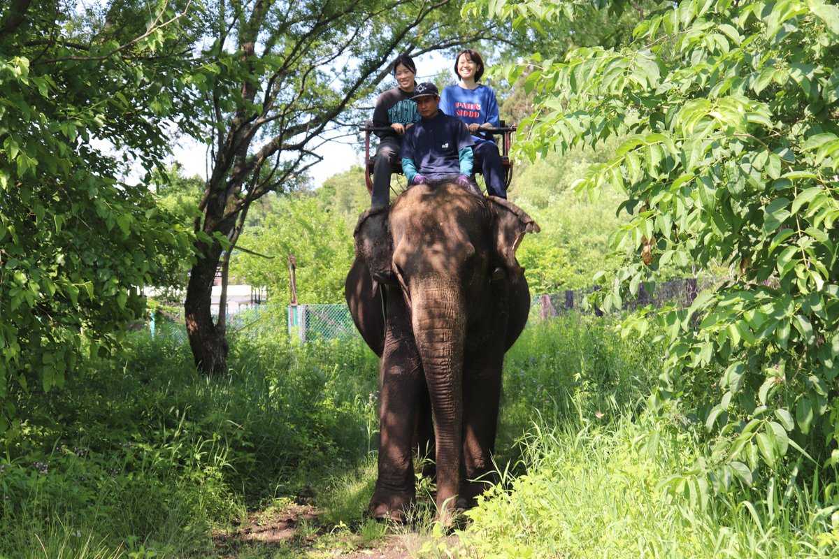 那須ワールドモンキーパーク【公式】 tweet media