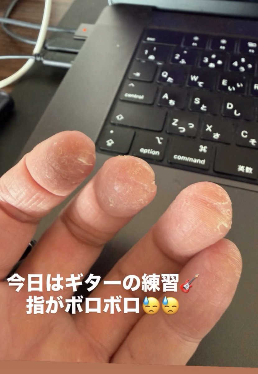 えぞたぬき tweet media