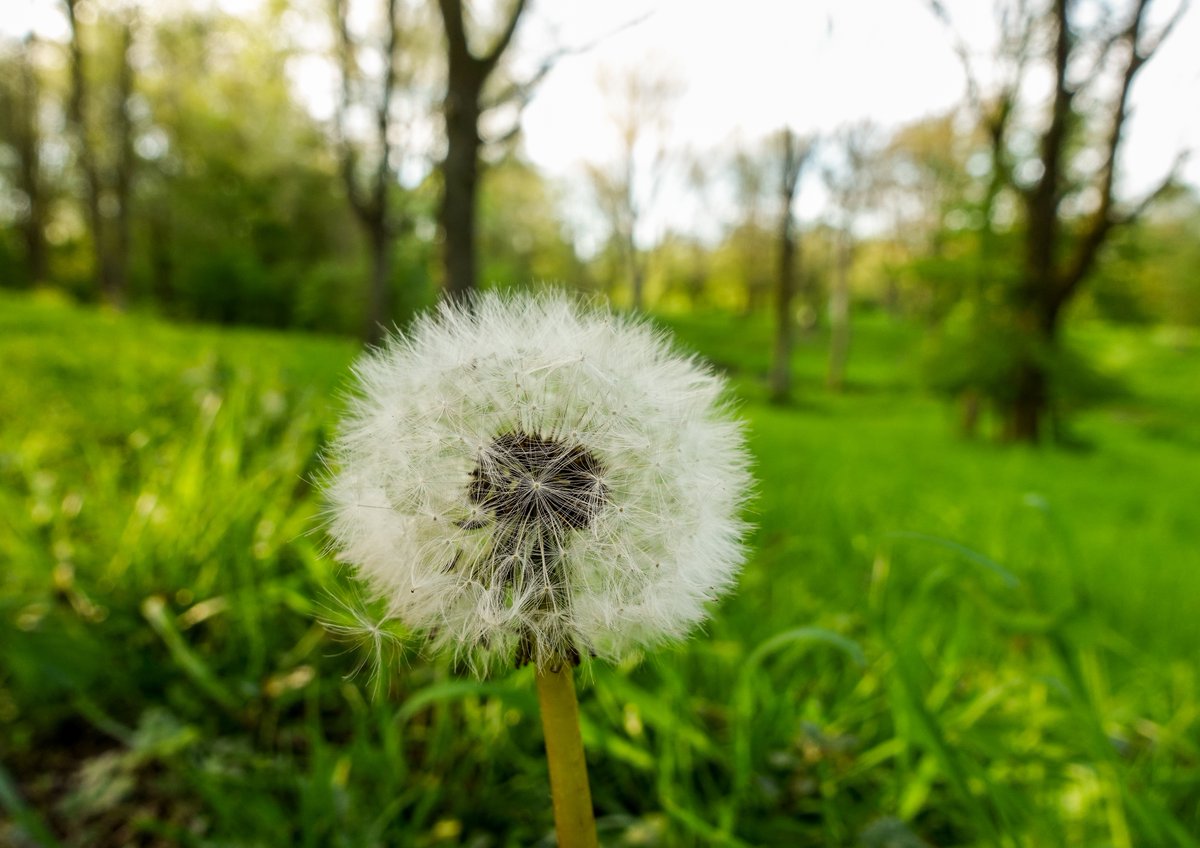 KopfYvonne's tweet image. Gestern habe ich in Mathematik als freiwillige Hausaufgabe aufgegeben: Jemanden anlächeln, wenn dir danach ist

In diesem Sinne wünsche ich euch einen guten Morgen und einen wundervollen Tag! Vielleicht könnt ihr ja auch ein Lächeln verschenken. 

!B #BeKind #LiebeIstAlles