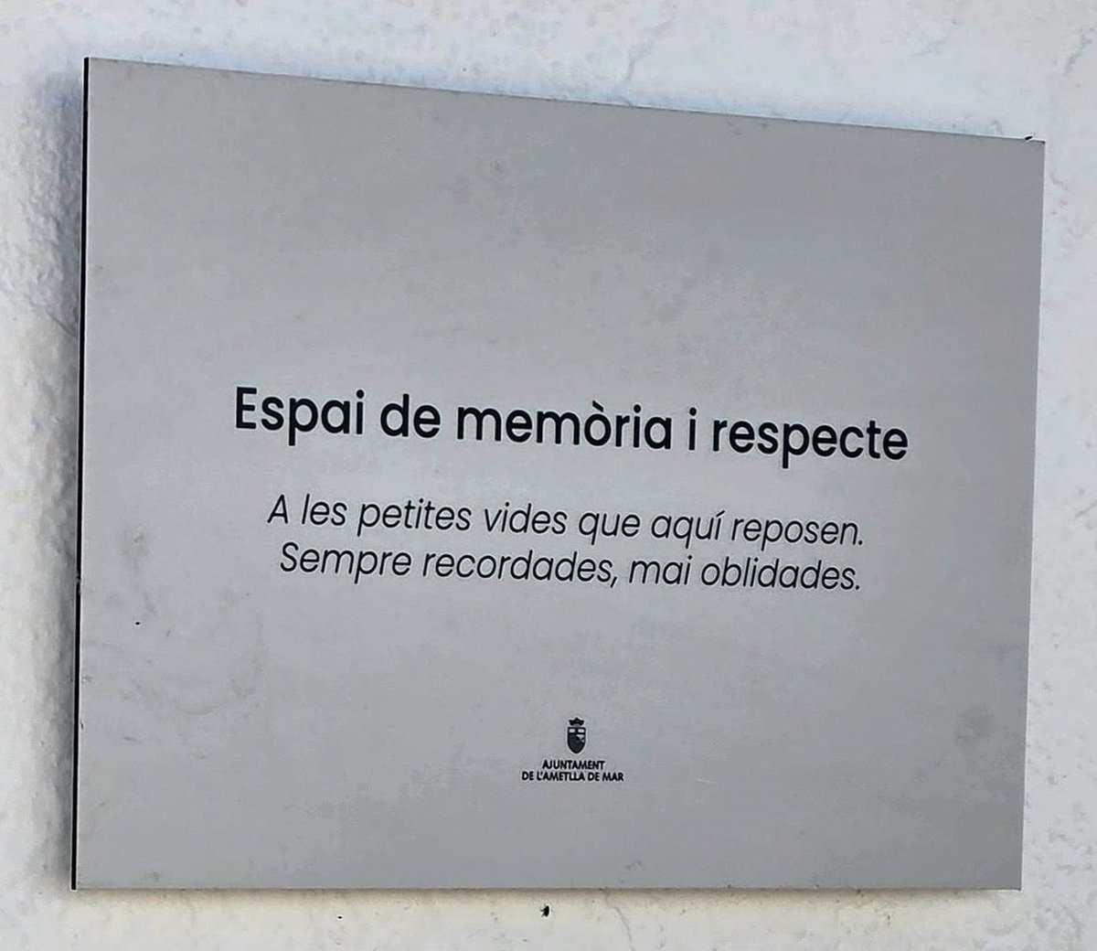El que han fet Gaseni i ERC a l’Ametlla de Mar, amb el mig trànsfuga del PSC, representa la part més bruta i fosca de la política. Ho patirà, sobretot, l’Ametlla de Mar, perquè ni ERC, ni Gaseni ni el regidor sociolisto podran continuar bé el que han començat brut i malament.