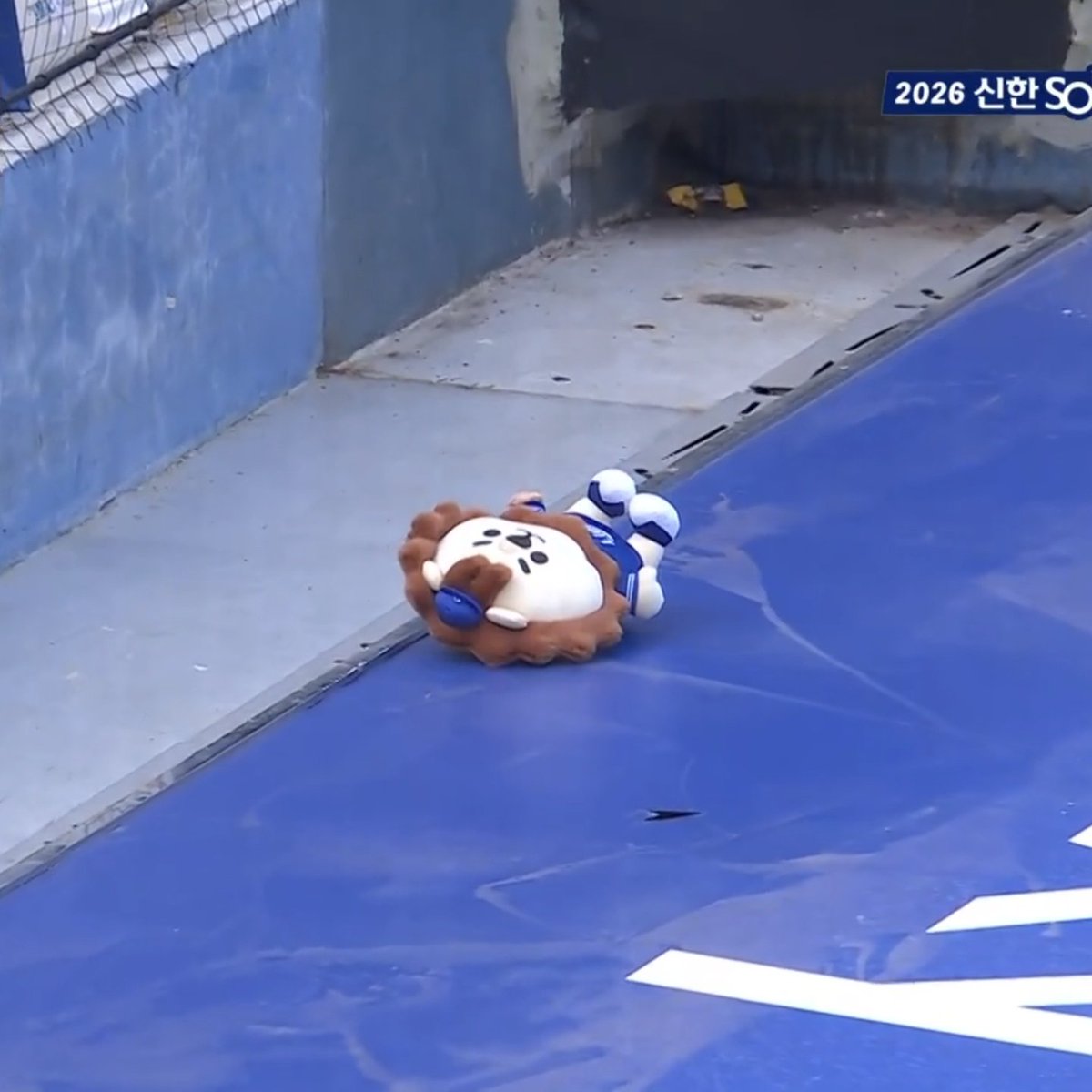 망치사자 tweet media