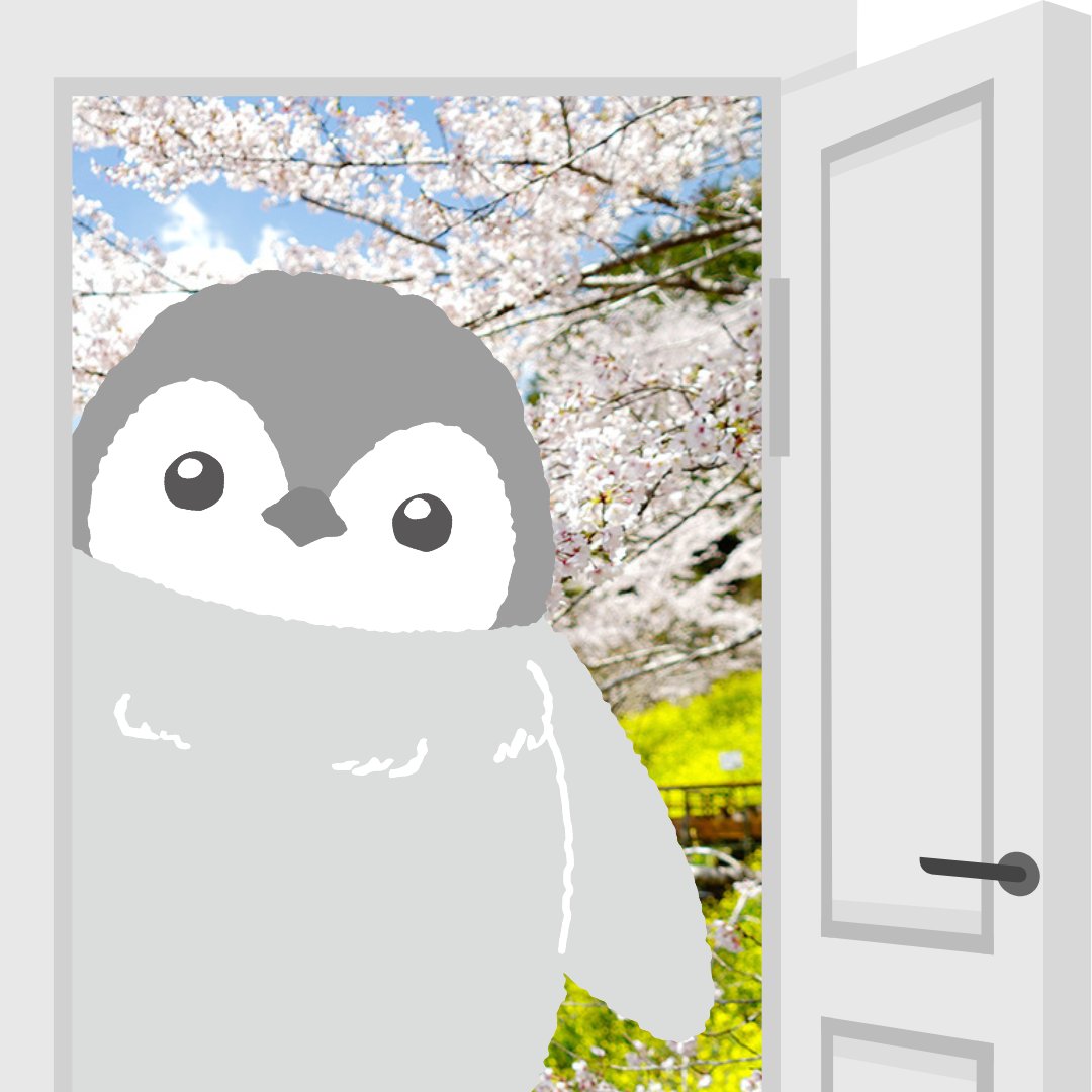 penguinnooyatsu's tweet photo. こはくちゃんのInstagramもあるよ🐧
あそびにきてね😍
https://t.co/wlE50J9gyK https://t.co/TCfSy3RJSY