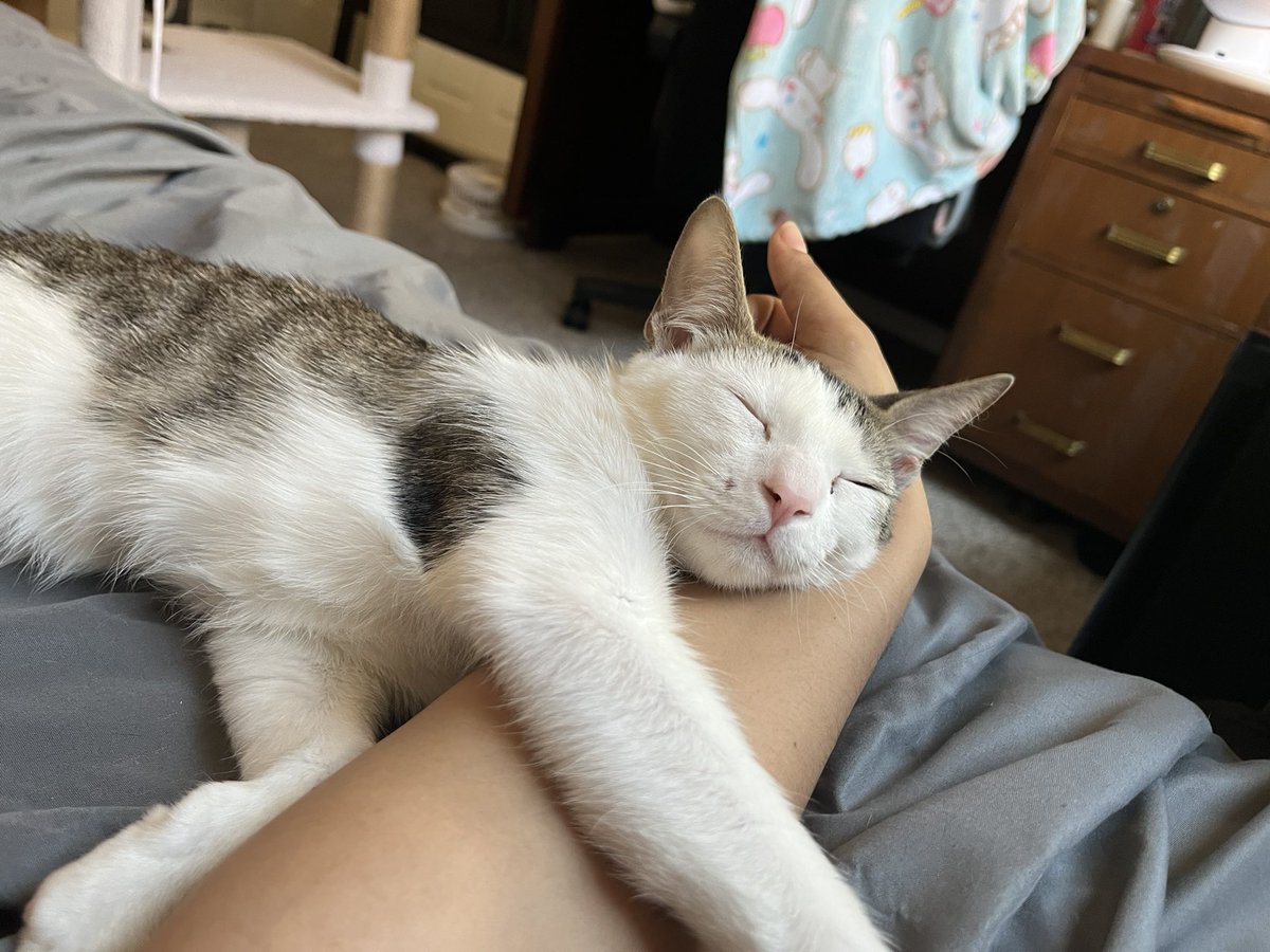 Daily Pixel 🌱 tweet media