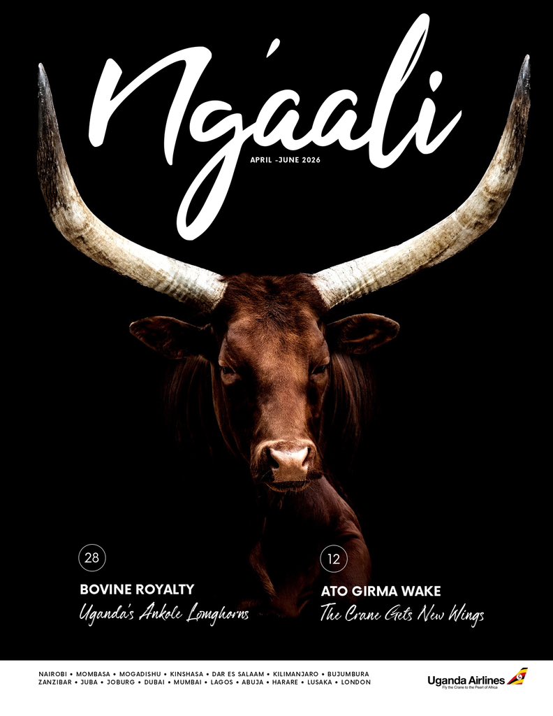 Ng'aali Inflight Magazine tweet media