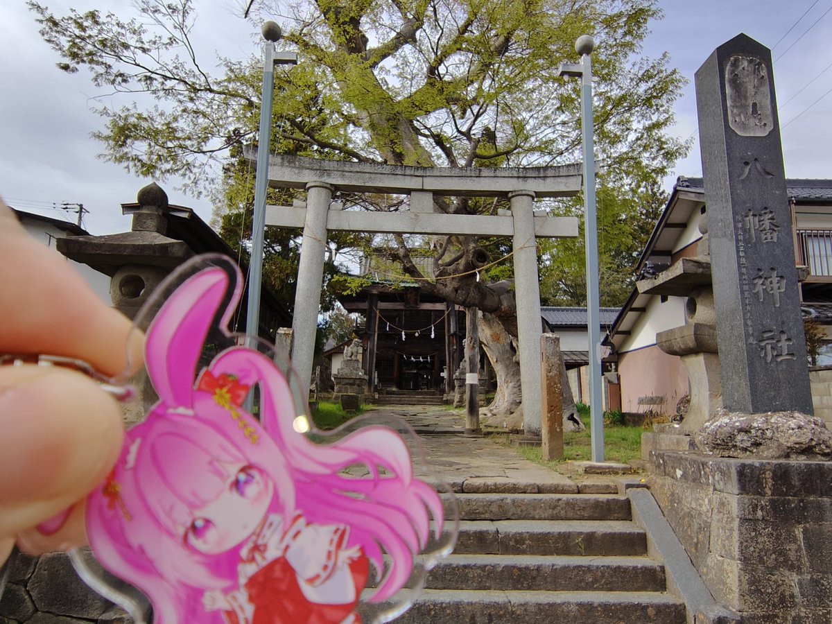 ミスターたかゆき（プリキュア・兎苺むめ・おじさん芸人大好き😍💓💓😍） tweet media