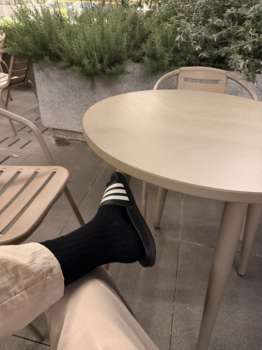 我是小洋 tweet media