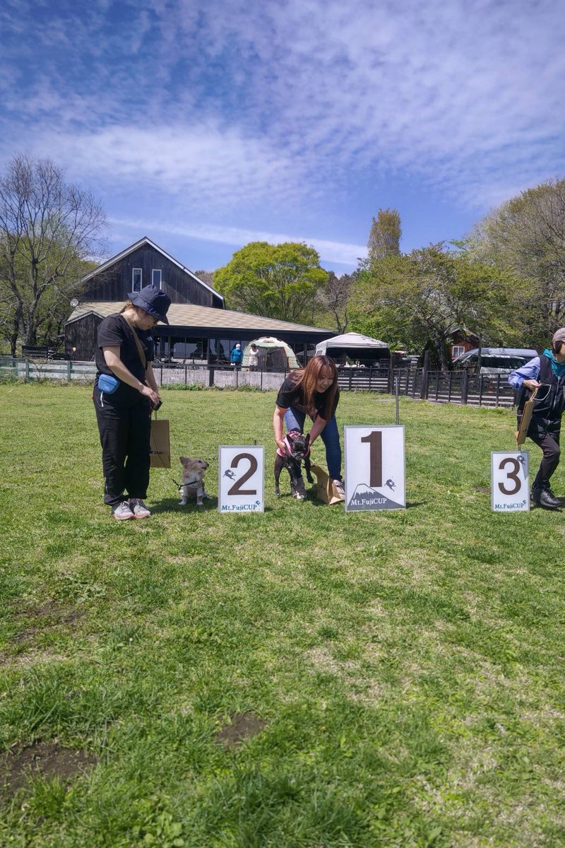 MIMIﾁｭﾙﾘﾗ♡ふわりともなの大冒険 tweet media