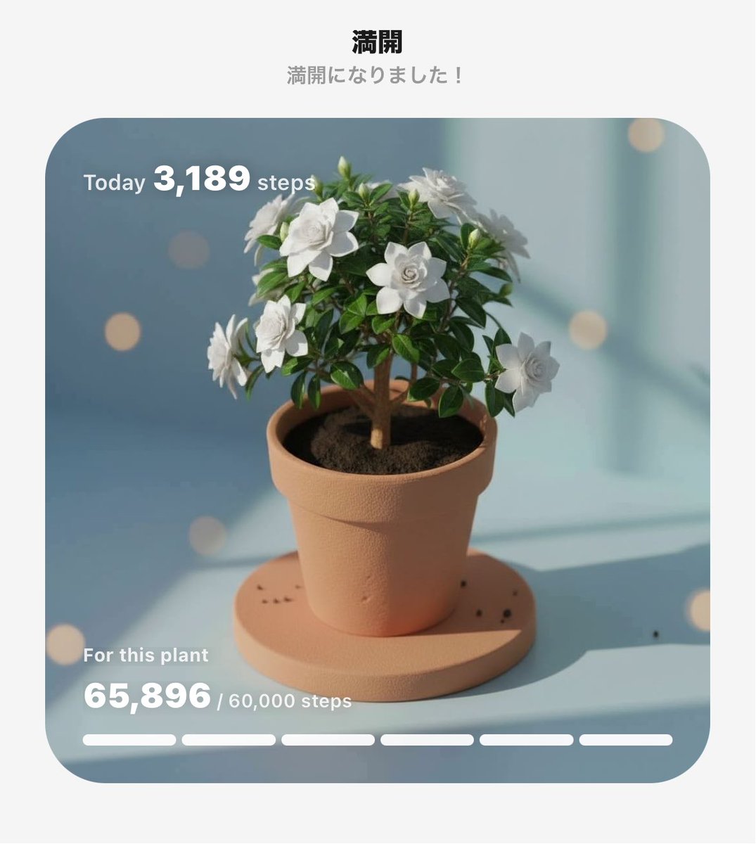 #PixelPot
歩いて植物育成中🌱