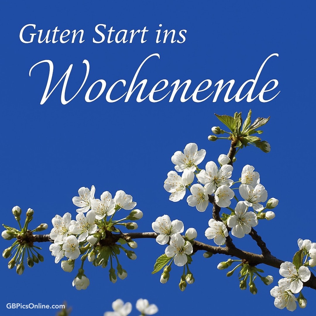 Ruhrpottler3005's tweet image. #GPN #UPN #FPN #SPN #GBPN  
@NaomiSeibt  @FoxNews  @foxnewspolitics   
@realDonaldTrump  @JDVance  @SecRubio