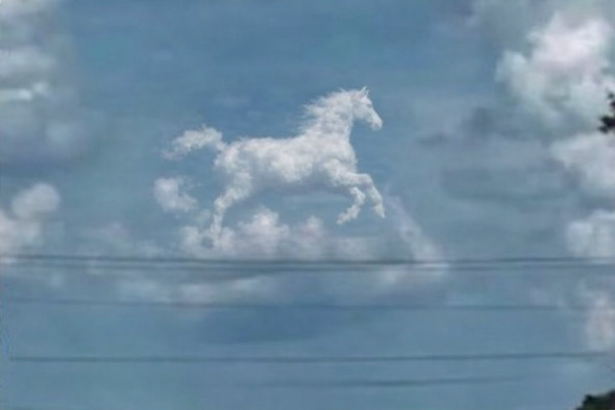 pangananhunter's tweet photo. @effect_motion_x “Now I know that I’m right-brained. Does anyone else here see a horse too?” https://t.co/TG6o3pJgWp