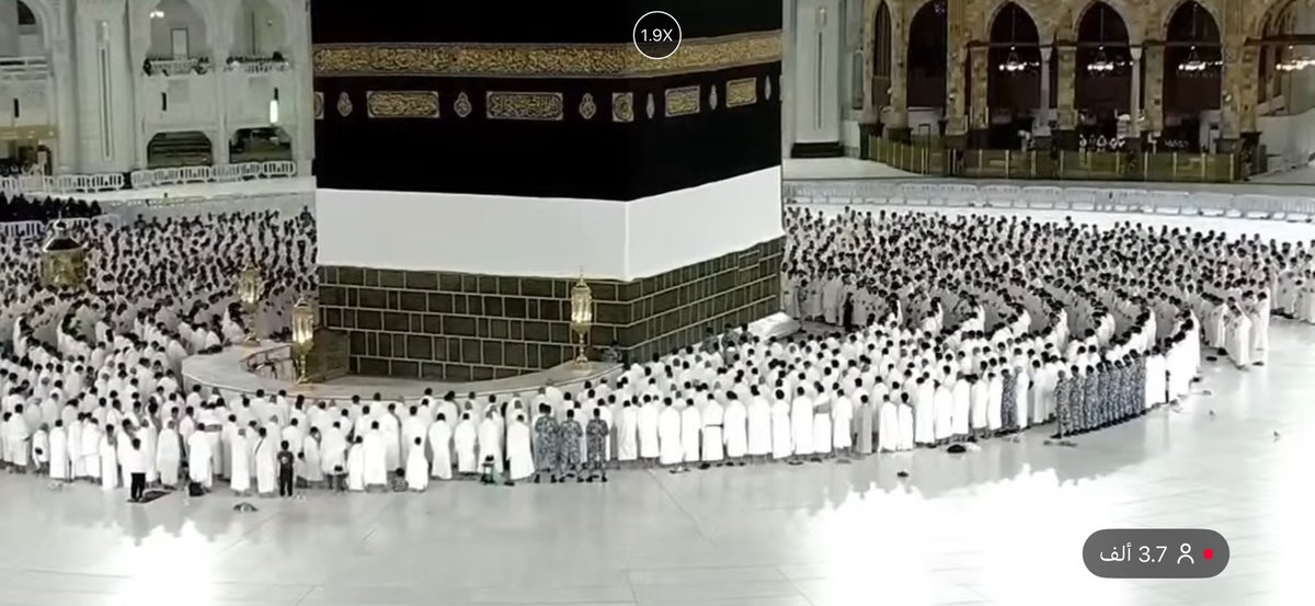 محمد tweet media