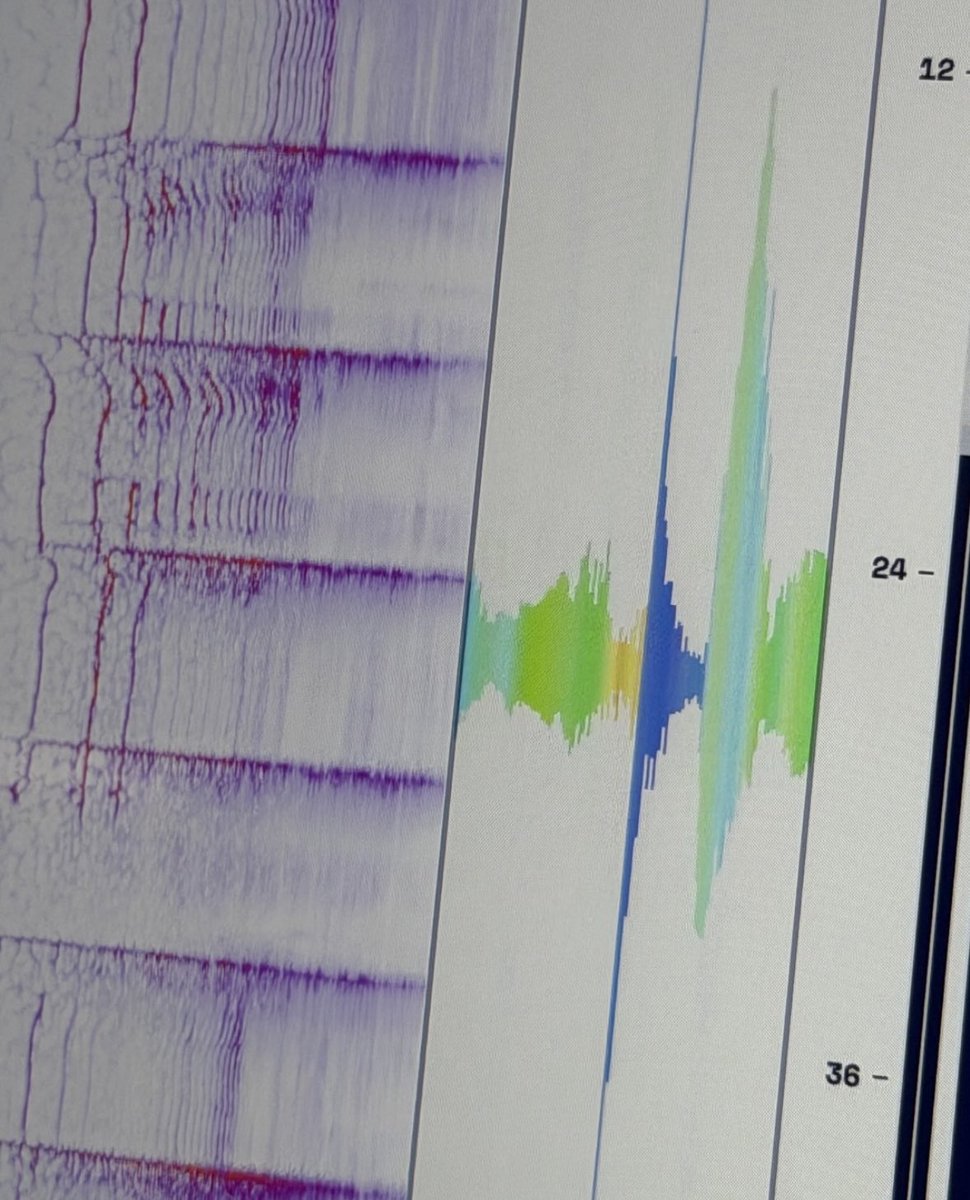 heli ^᪲᪲᪲ tweet media