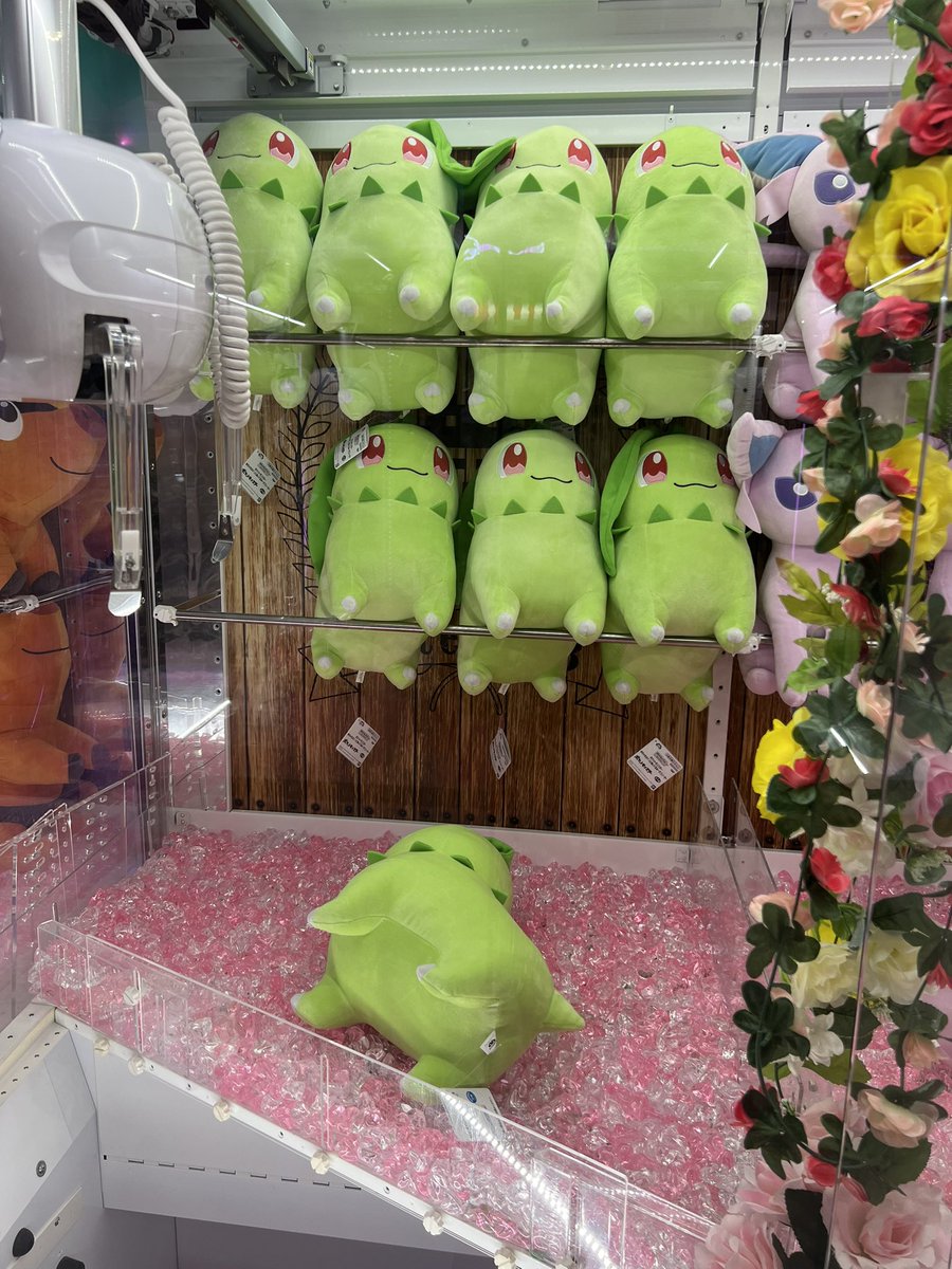 たいが tweet media