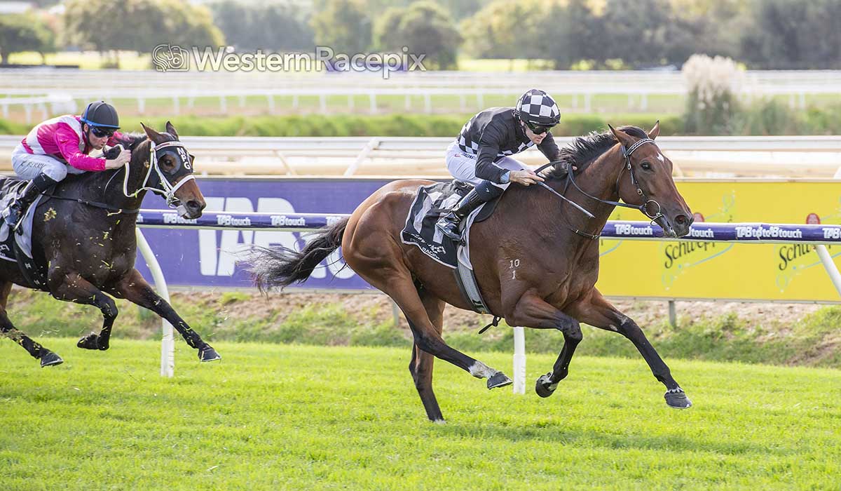 WesternRacepix's tweet image. ROCK 'N' THE JAM - 2026 Singapore Pools Trophy @PerthRacing #WesternRacepix #QuokkaDay #WesternTrilogy

More 📷 westernracepix.com