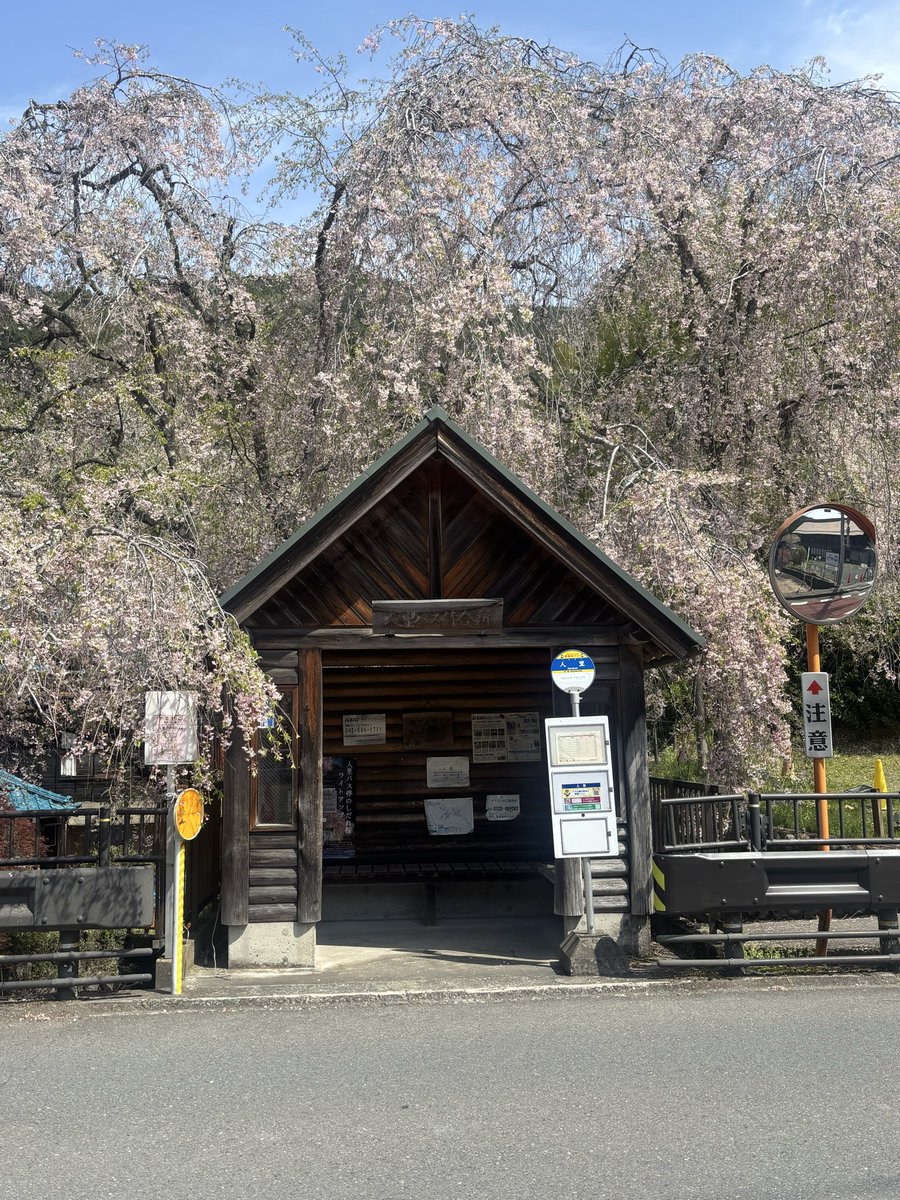 gomutabeta's tweet photo. 4/17人里バス停 https://t.co/XdFTT6Z4KV