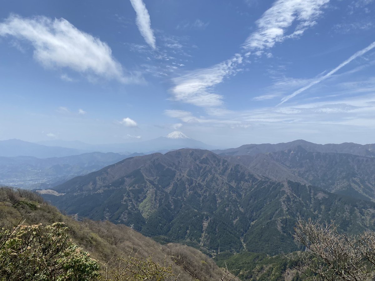 カレー大王おつかれ山⛰️ tweet media