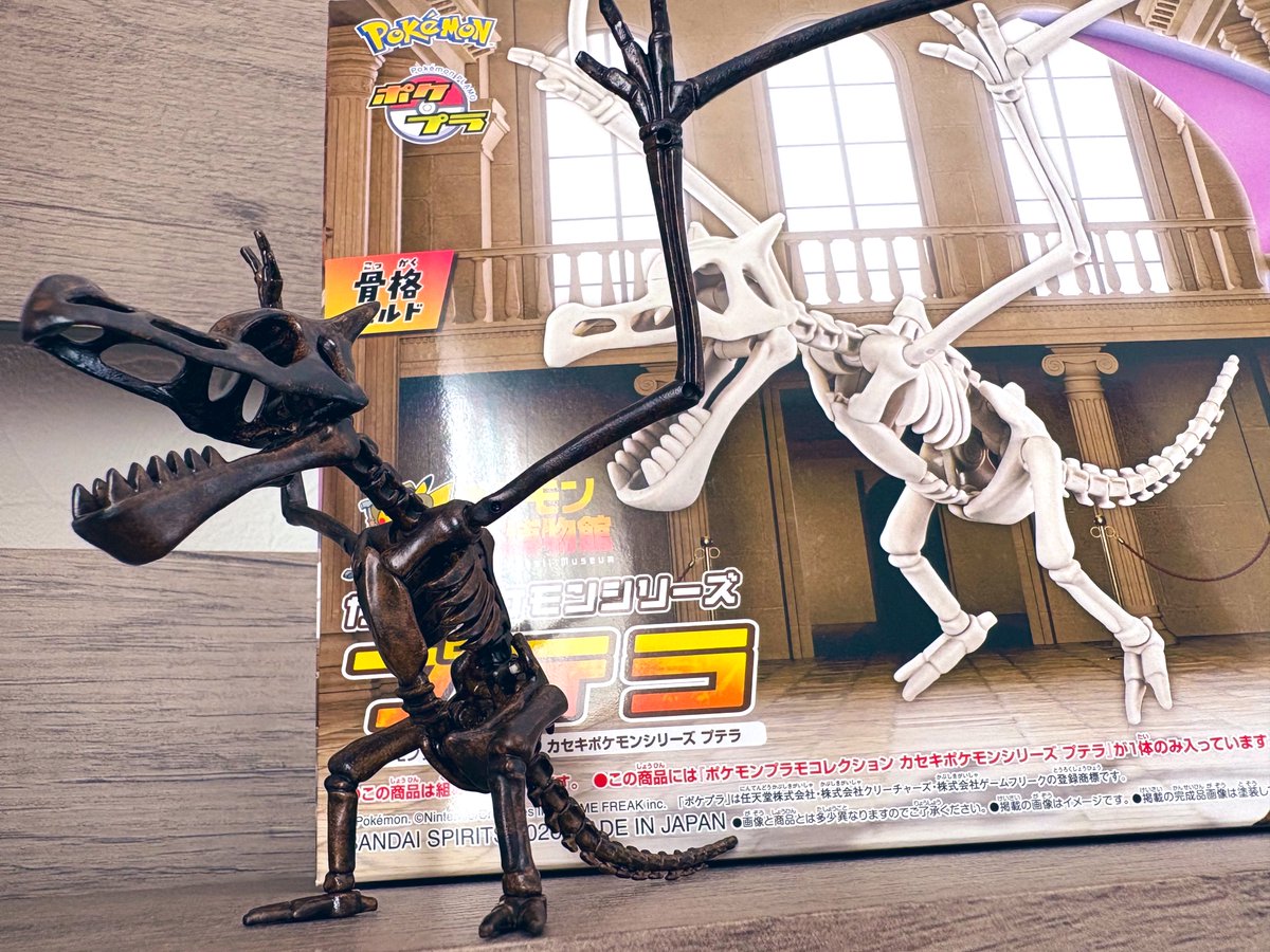 ポッケとモンスター ブラック・ホワイト