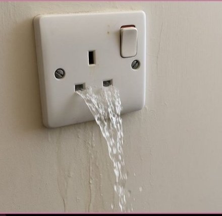 TOIS🌴 tweet media