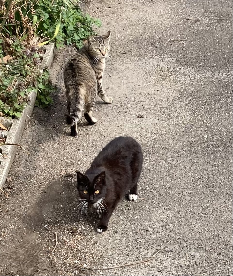 未お母さん tweet media