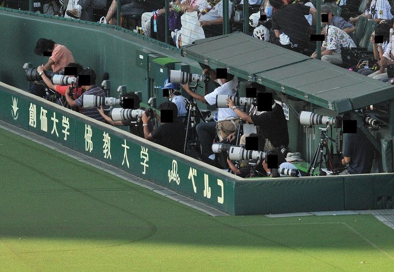 ちるたん🇯🇵🐯 tweet media