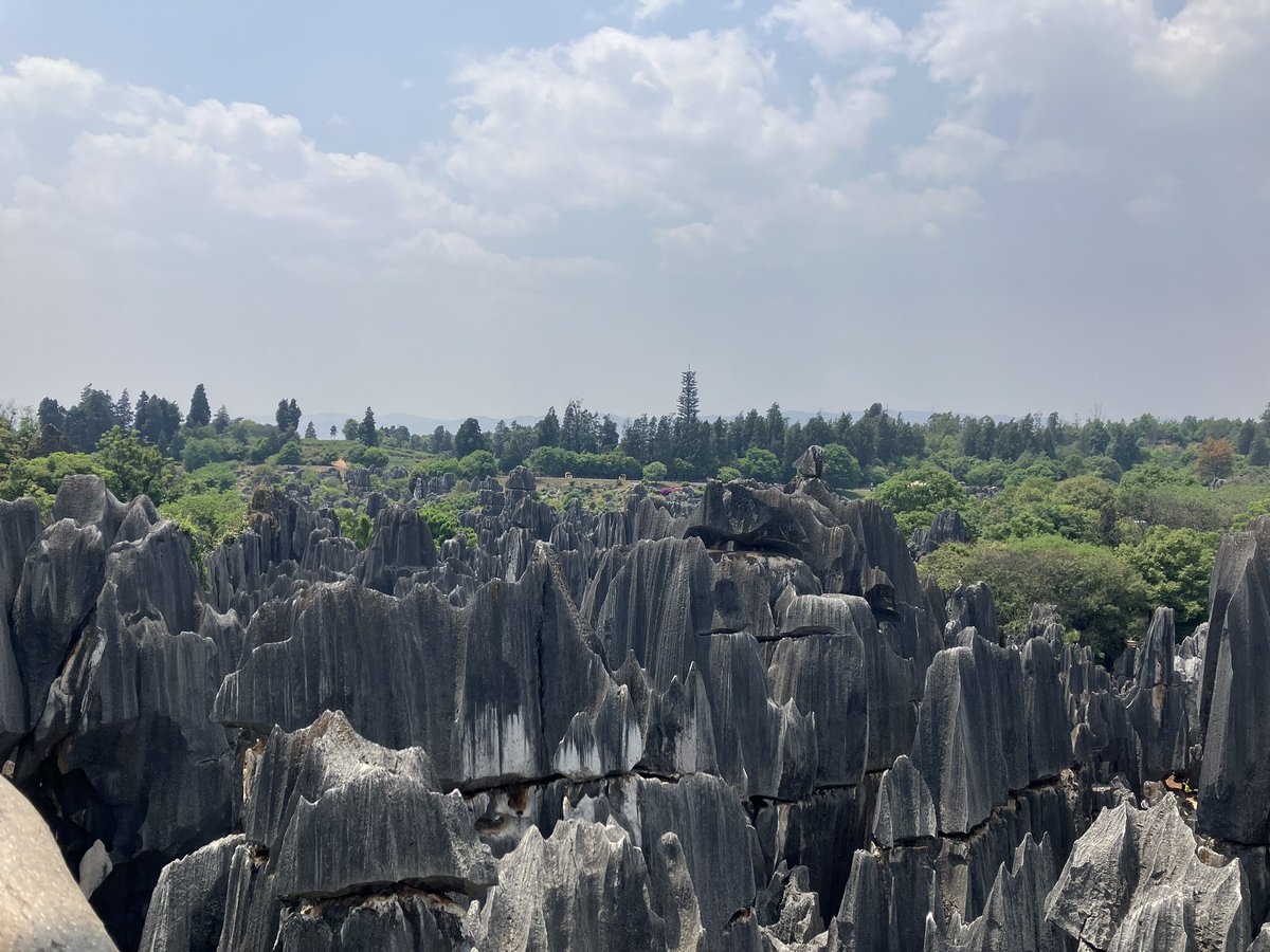 古澤光徳｜Mitsunori Furusawa tweet media