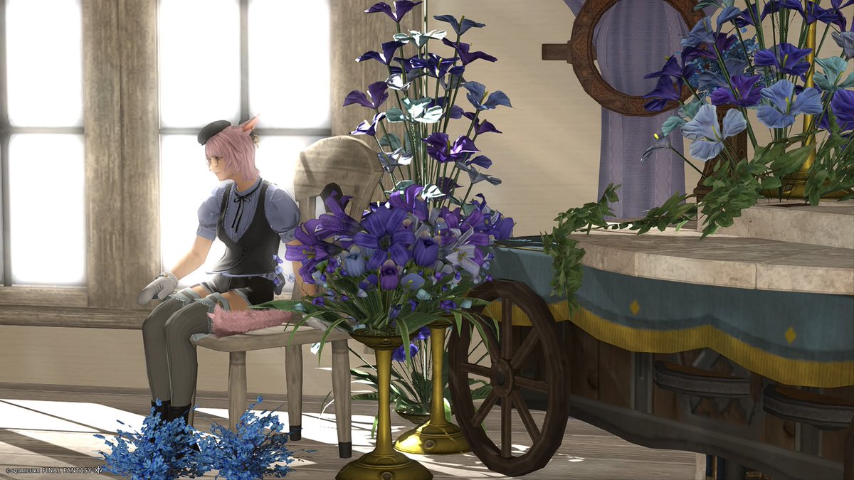 いりす🌈Meteor🍈🌵🌹🎏🎈🍀 tweet media