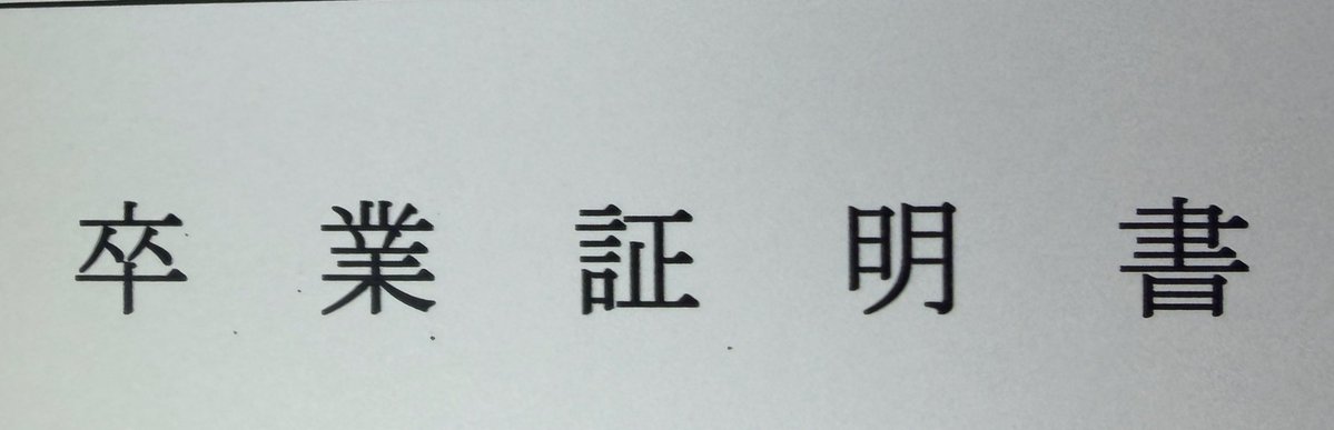 F.Tさやか/さや姉🐒🐦🏍🐼 tweet media