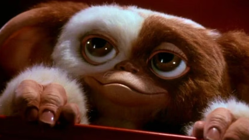 LoKi 😈 tweet media